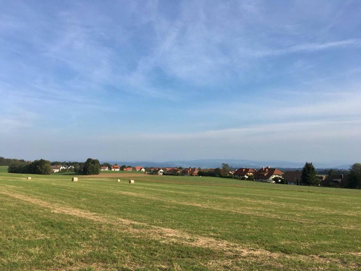 Ferienwohnung Francois Höchenschwand Eksteriør billede